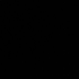 Meet your Posher, Grayson